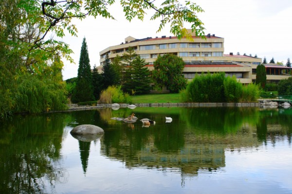 Город сандански