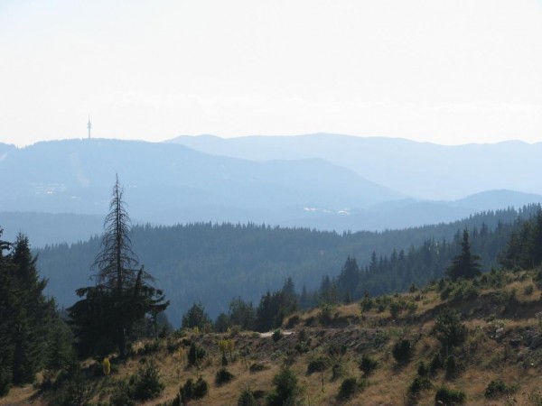 Rodopi snejanka