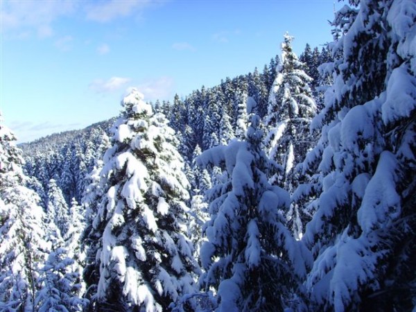 боровец ски