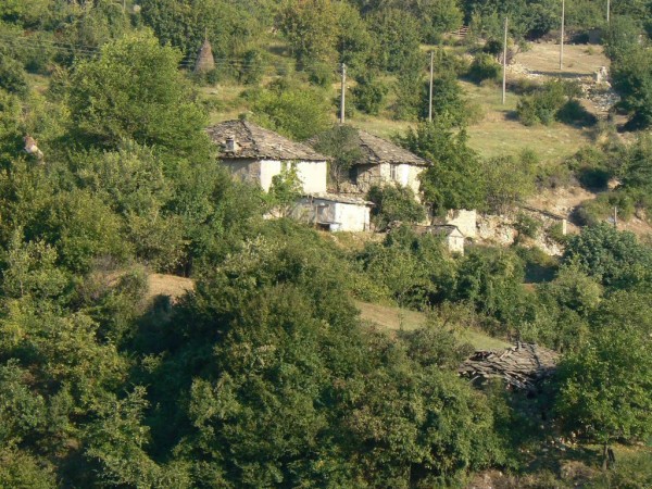 rodopa