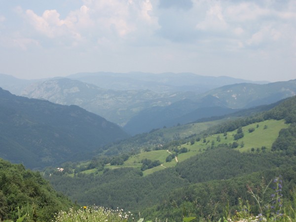 rodopi
