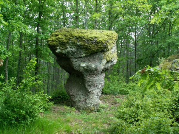 Странджа околност